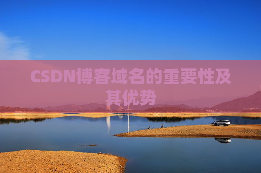 CSDN博客域名的重要性及其优势
